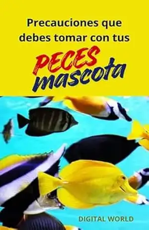 Precauciones que debes tomar con tus peces mascota – Digital World