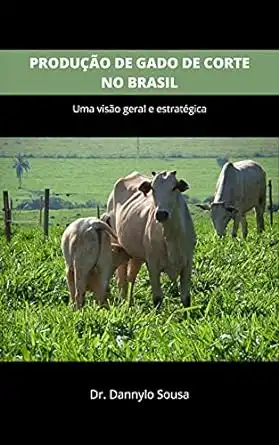 Baixar PRODUÇÃO DE GADO DE CORTE NO BRASIL: Uma visão geral e estratégica pdf, epub, mobi, eBook
