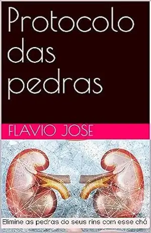 Capa do livro Protocolo das pedras - Flavio Jose