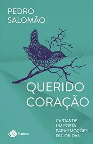 Querido coração: Cartas de um poeta para emoções doloridas – Pedro Salomão