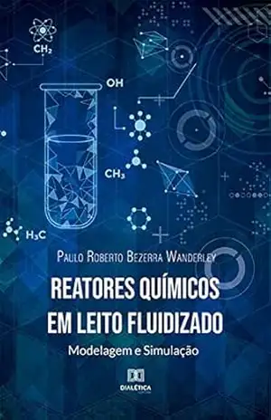 Reatores Químicos em Leito Fluidizado: modelagem e simulação – Paulo Roberto Bezerra Wanderley