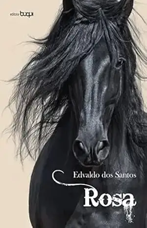 Capa do livro Rosa - Edvaldo dos Santos