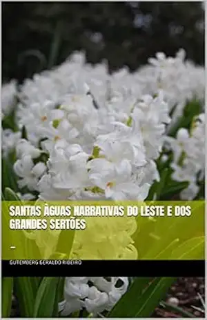 Capa do livro Santas Àguas Narrativas Do Leste e Dos Grandes Sertões: – (Paredão de Fuzilamento Livro 1) - Gutemberg Geraldo Ribeiro