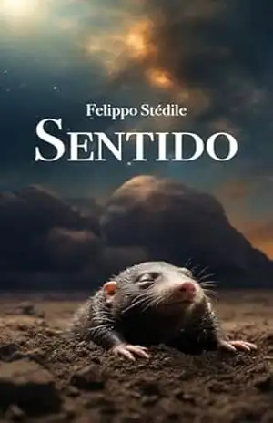Sentido – Felippo Stédile