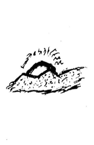 Sete Poemas – Samuel D. M. Pereira