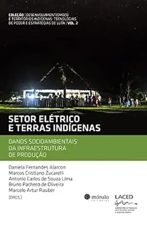 Setor elétrico e terras indígenas: danos socioambientais da infraestrutura de produção (Desenvolvimentismo(s) e territórios indígenas: tecnologias de poder e estratégias de luta Livro 1) – Daniela Fernandes Alarcon