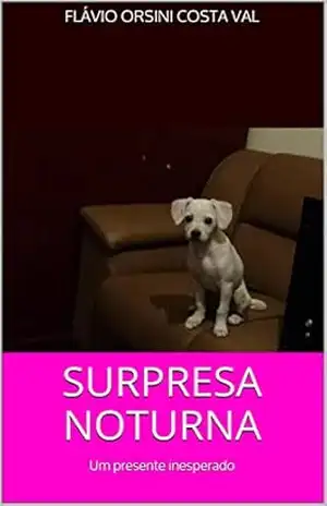 SURPRESA NOTURNA: Um presente inesperado – FLÁVIO ORSINI COSTA VAL SURPRESA NOTURNA: Um presente inesperado – FLÁVIO ORSINI COSTA VAL