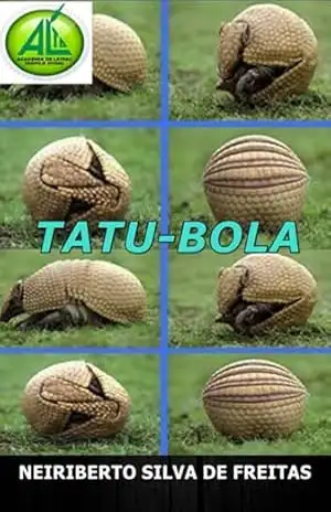 Tatu–bola – Neiriberto Silva De Freitas