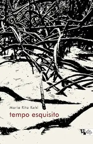 Capa do livro Tempo esquisito - Maria Rita Kehl