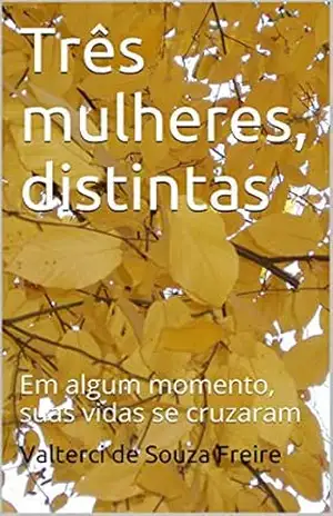 Três mulheres, distintas: Em algum momento, suas vidas se cruzaram – Valterci de Souza Freire