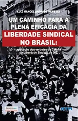 Capa do livro UM CAMINHO PARA A PLENA EFICÁCIA DA LIBERDADE SINDICAL NO BRASIL:: aplicação dos verbetes do Comitê de Liberdade Sindical da OIT - LUIZ MANOEL