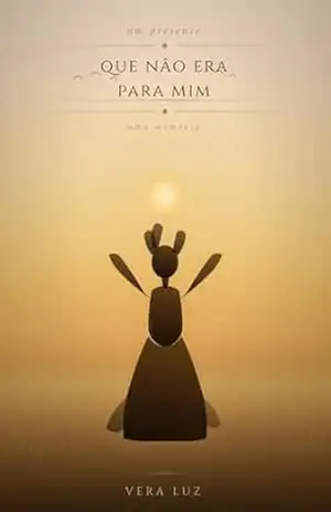 Capa do livro Um presente que não era pra mim - Vera Luz