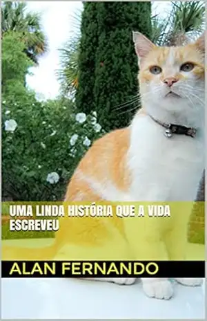 Uma linda história que a vida escreveu - Alan Fernando Da Silva
