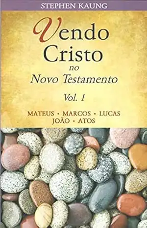 Vendo Cristo no Novo Testamento: Matheus • Marcos • Lucas • João • Atos – Stephen Kaung