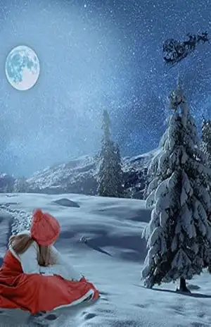Capa do livro Você tem Papai Noel (Perguntas das crianças) - Toshi Shiraiwa