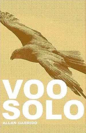 Voo Solo: ( Poesias, textos, pensamentos, coletânea) – Allan Garrido