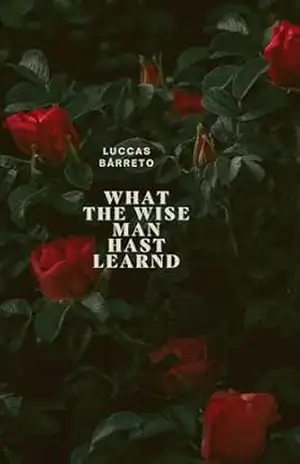 what the wise man has not learn – Luccas Bårreto