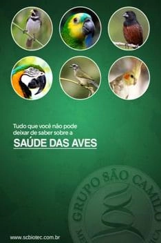 Baixar Saúde das Aves pdf, epub, mobi, eBook
