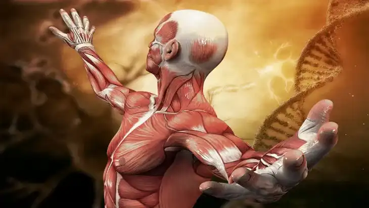 200 Questões de Fisiologia Humana para Baixar em PDF
