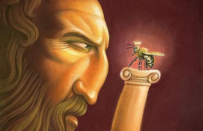a abelha e jupiter