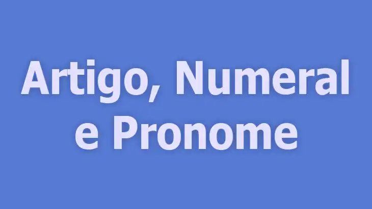 Artigo Numeral e Pronome