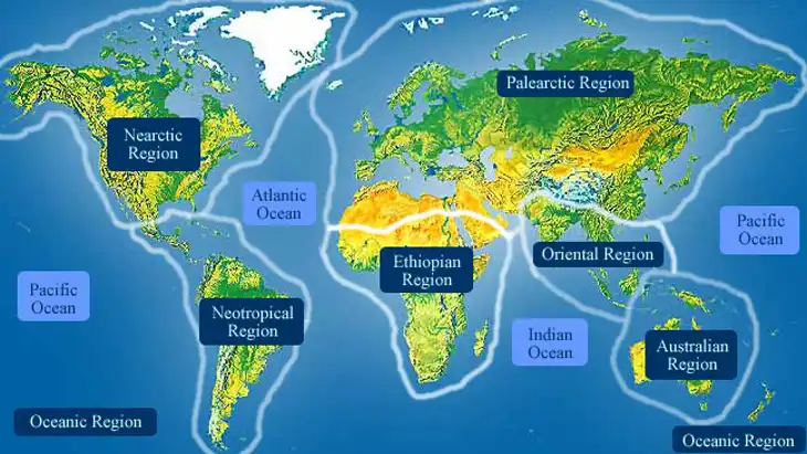 49 Exercícios de Biogeografia para Download em PDF