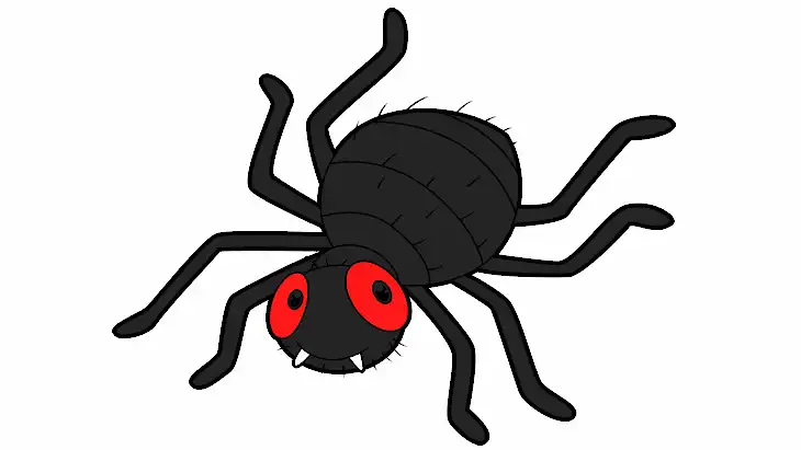 9 Desenhos de Aranha para Imprimir e Colorir