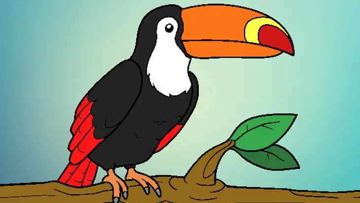 10 Desenhos de Tucanos para Imprimir e Colorir