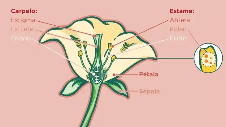 112 Exercícios de Reprodução Vegetal para Download em PDF