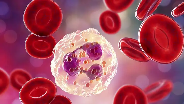 6 Apostilas sobre Hematologia para Download em PDF
